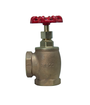 AGV angled globe valve