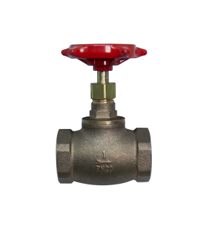 REL-GV globe valve