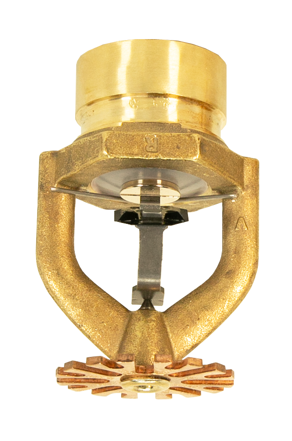 M34_grooved_AUG_2025 M34_grooved_AUG_2025